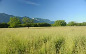 org habitats durables